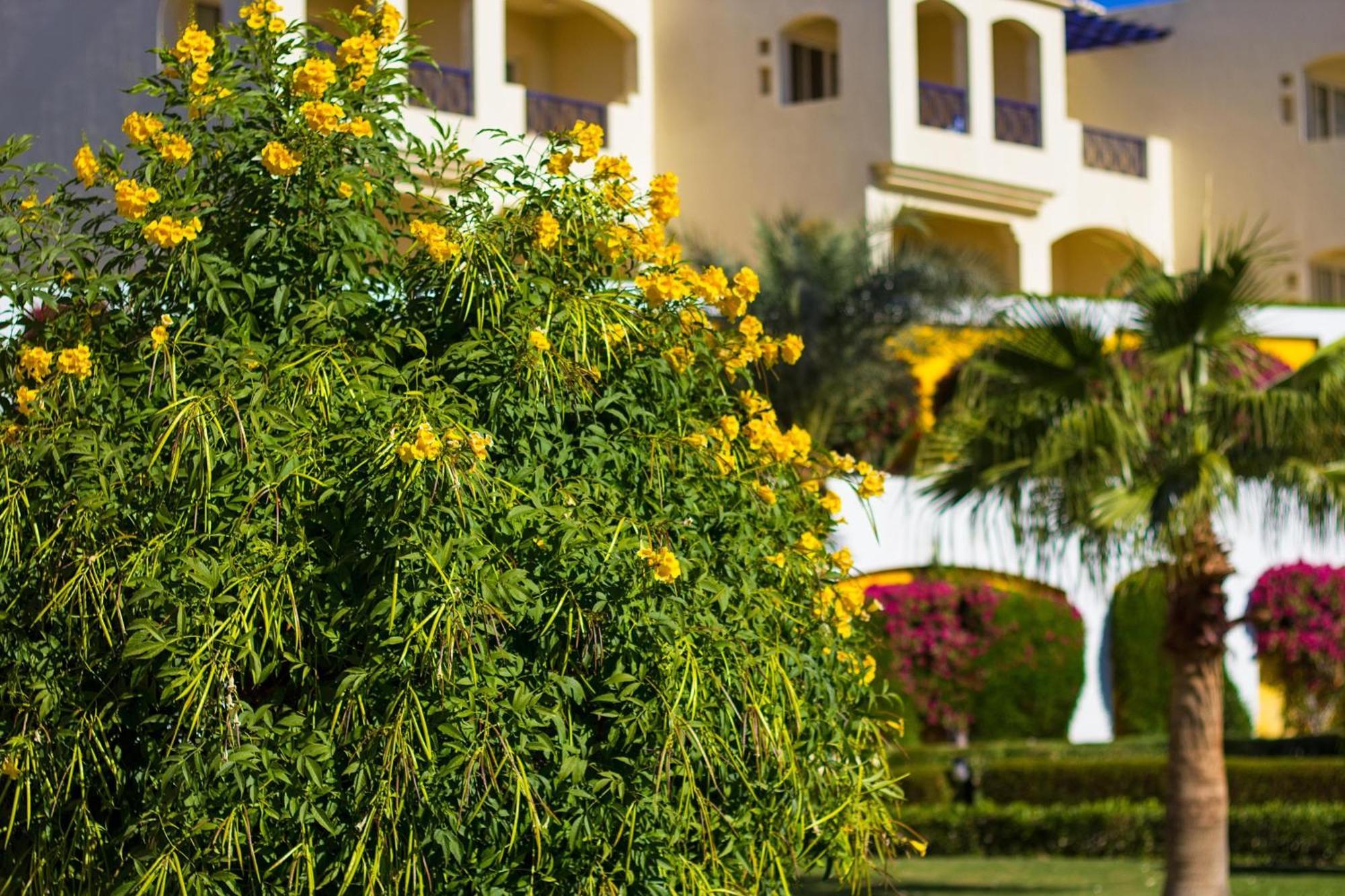 Grand Oasis Complex